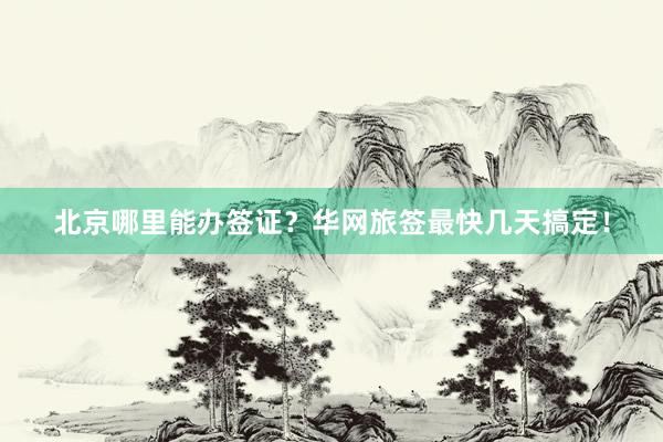 北京哪里能办签证？华网旅签最快几天搞定！